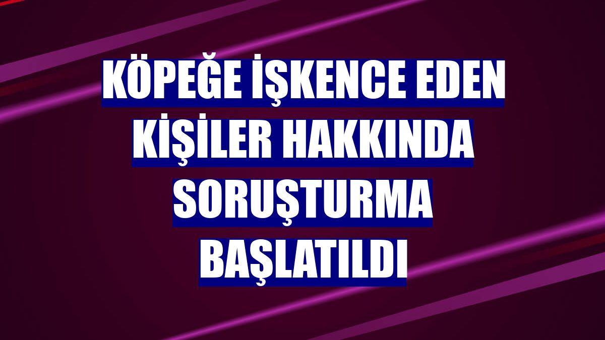 Köpeğe işkence eden kişiler hakkında soruşturma başlatıldı