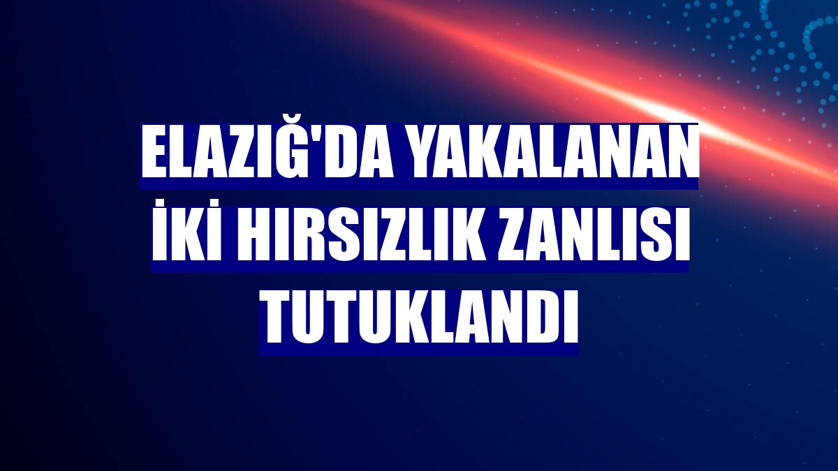 Elazığ'da yakalanan iki hırsızlık zanlısı tutuklandı