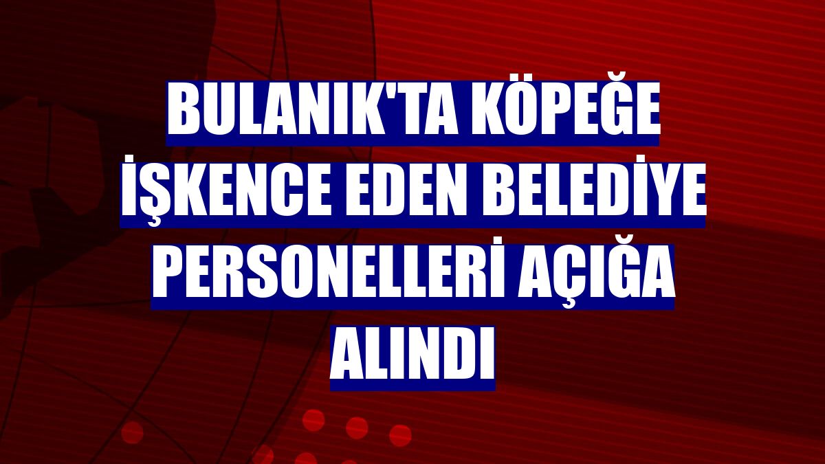Bulanık'ta köpeğe işkence eden belediye personelleri açığa alındı