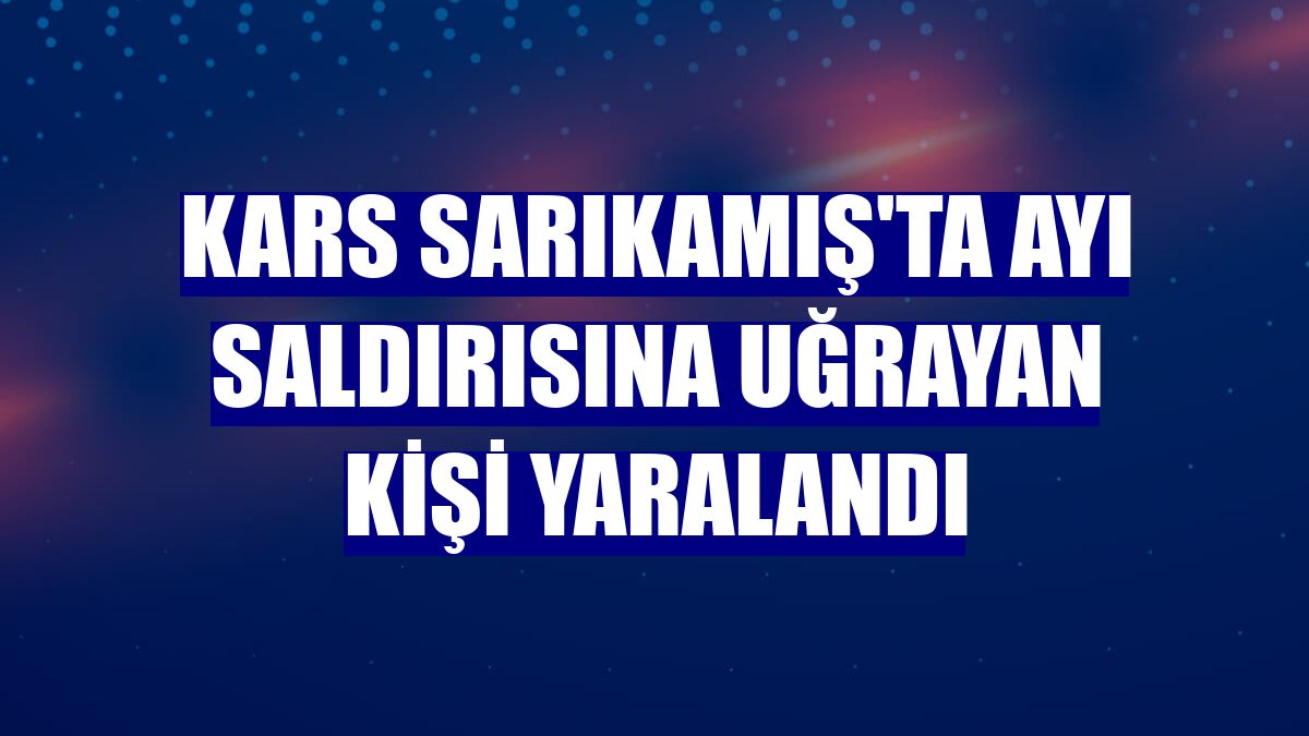 Kars Sarıkamış'ta ayı saldırısına uğrayan kişi yaralandı