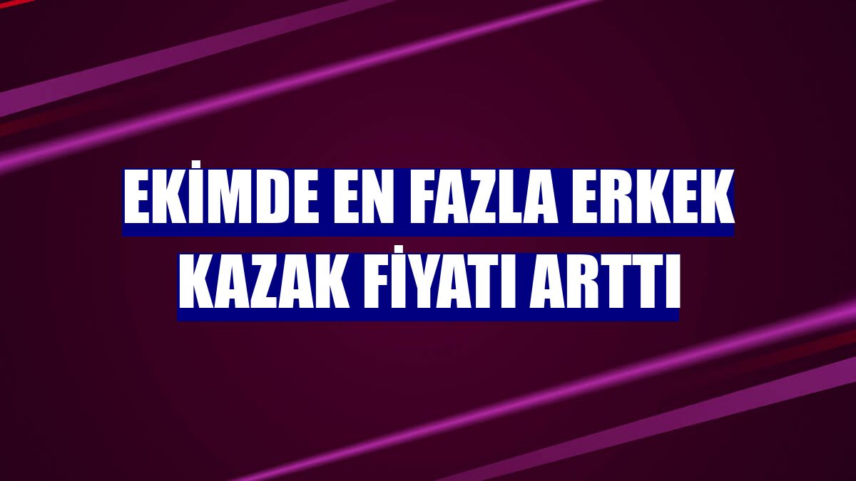 Ekimde en fazla erkek kazak fiyatı arttı