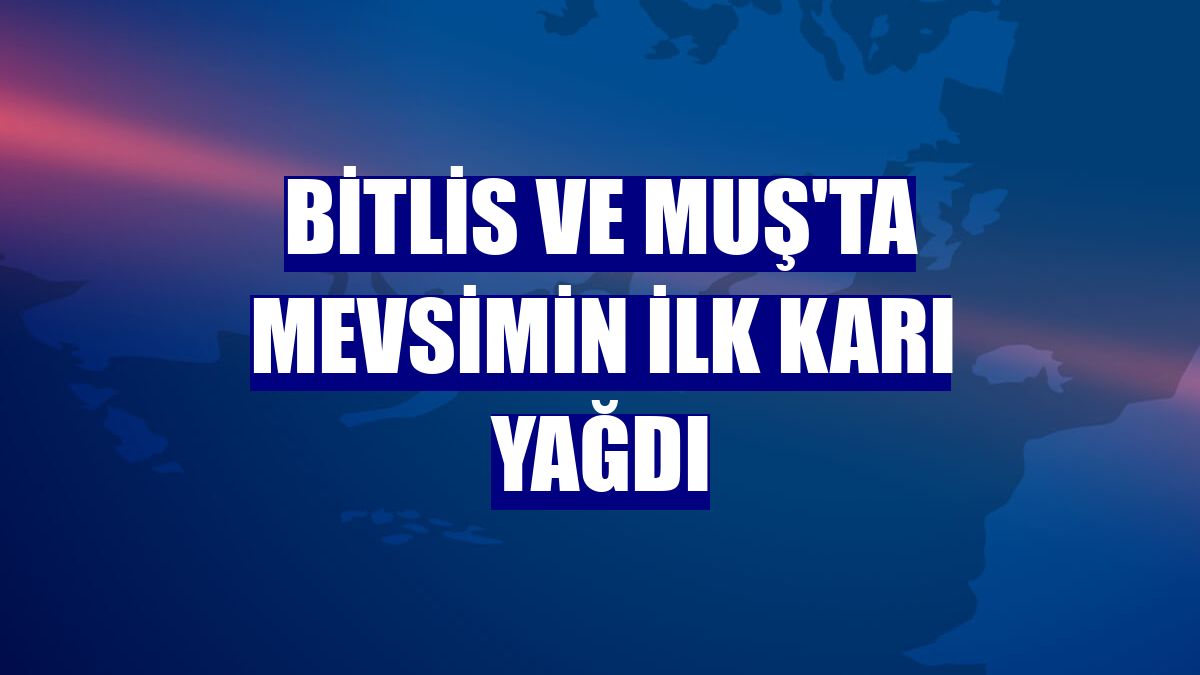 Bitlis ve Muş'ta mevsimin ilk karı yağdı