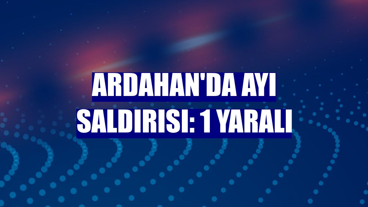 Ardahan'da ayı saldırısı: 1 yaralı