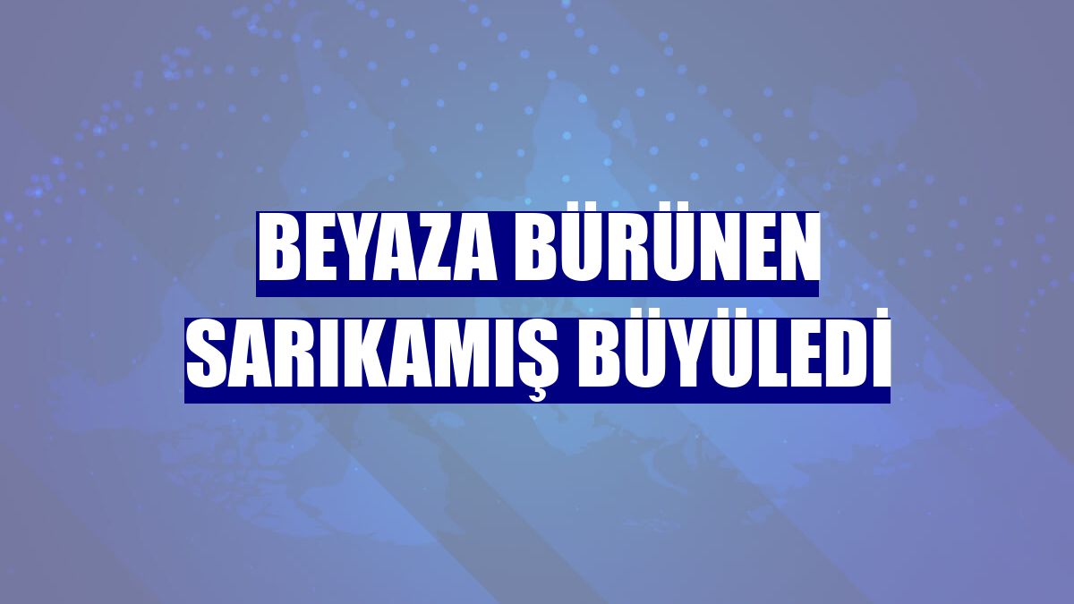 Beyaza bürünen Sarıkamış büyüledi
