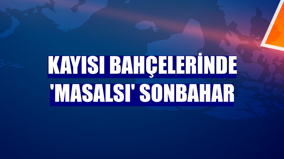 Kayısı bahçelerinde 'masalsı' sonbahar