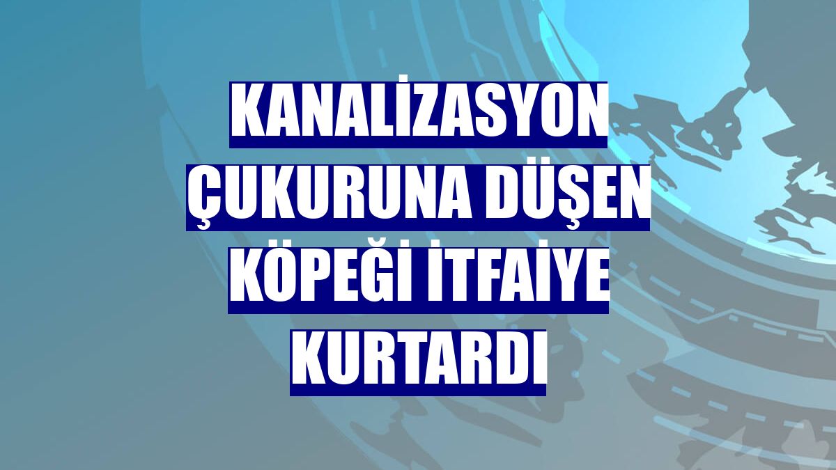 Kanalizasyon çukuruna düşen köpeği itfaiye kurtardı