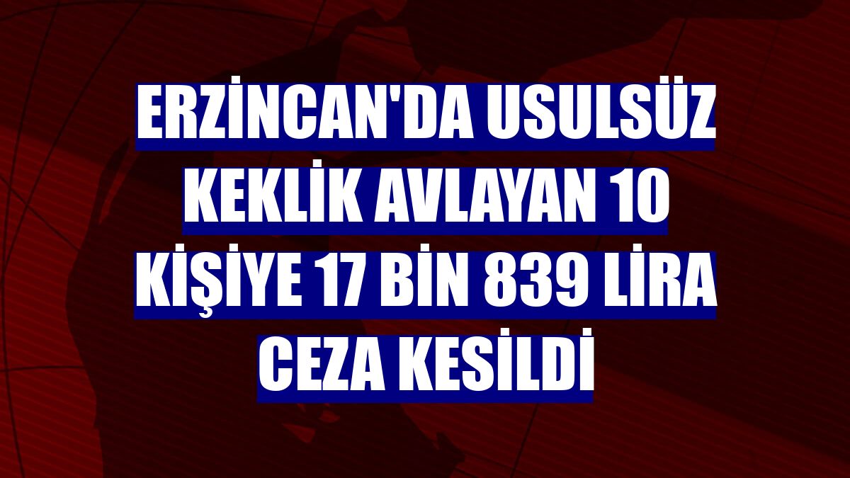 Erzincan'da usulsüz keklik avlayan 10 kişiye 17 bin 839 lira ceza kesildi