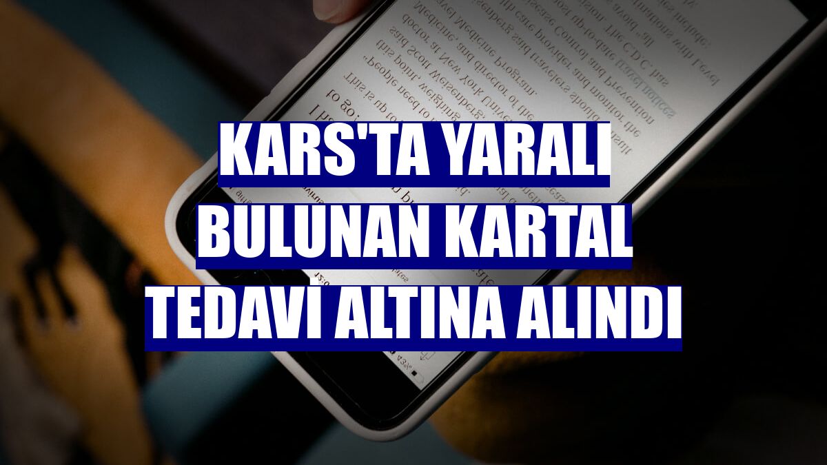 Kars'ta yaralı bulunan kartal tedavi altına alındı