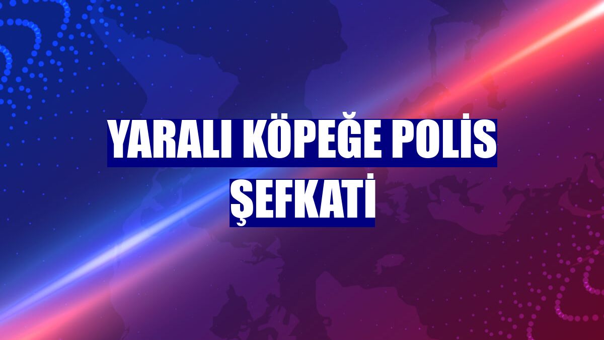 Yaralı köpeğe polis şefkati