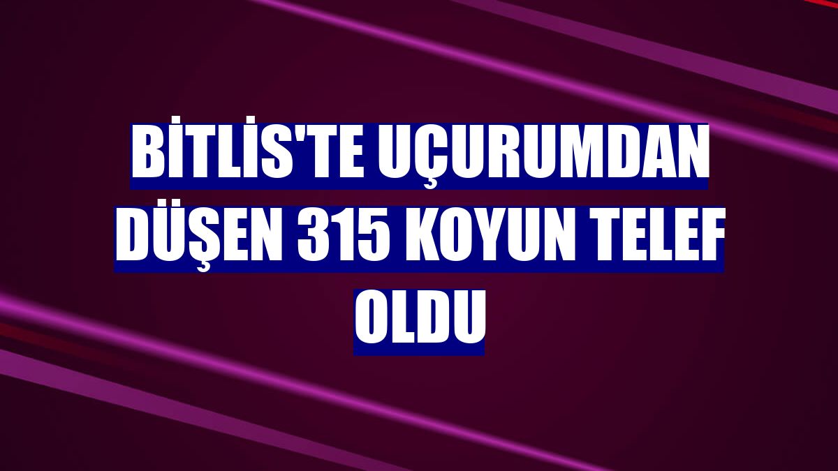 Bitlis'te uçurumdan düşen 315 koyun telef oldu