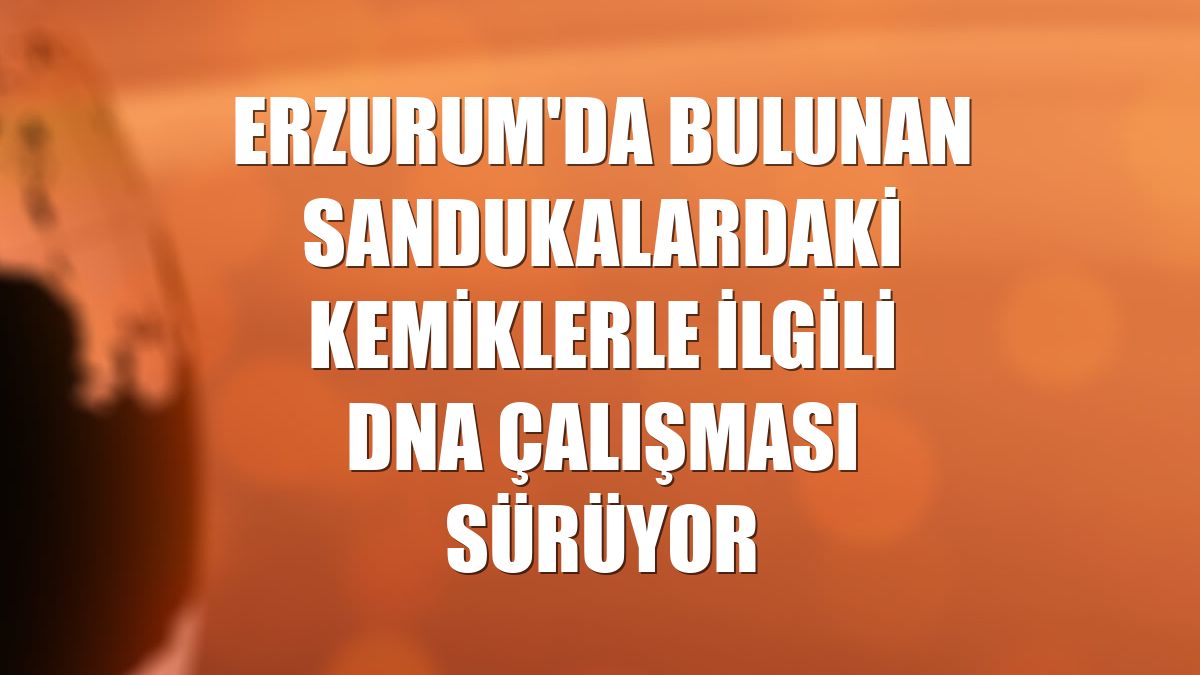 Erzurum'da bulunan sandukalardaki kemiklerle ilgili DNA çalışması sürüyor