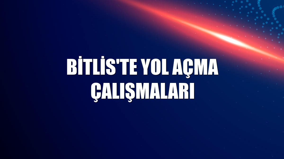 Bitlis'te yol açma çalışmaları