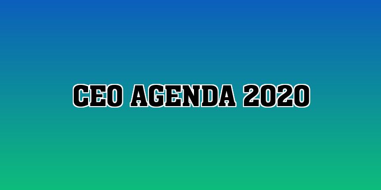 CEO Agenda 2020