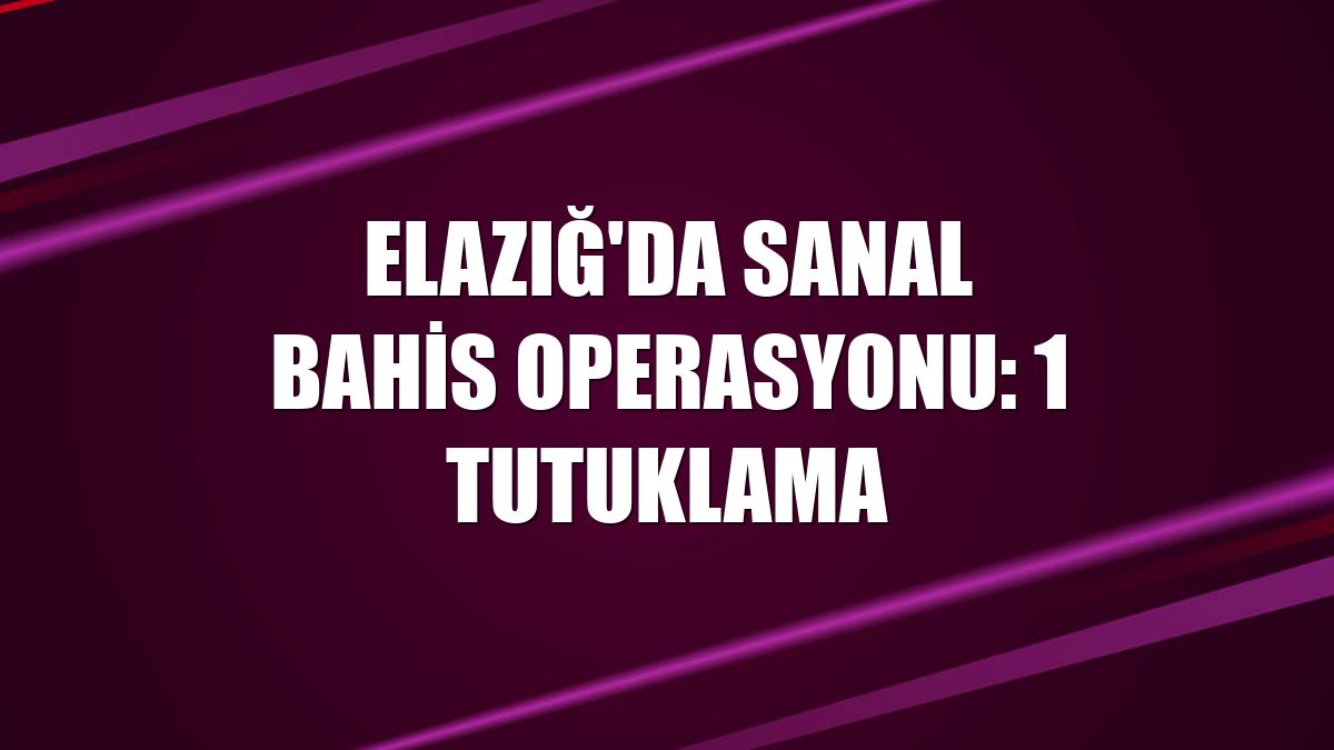 Elazığ'da sanal bahis operasyonu: 1 tutuklama