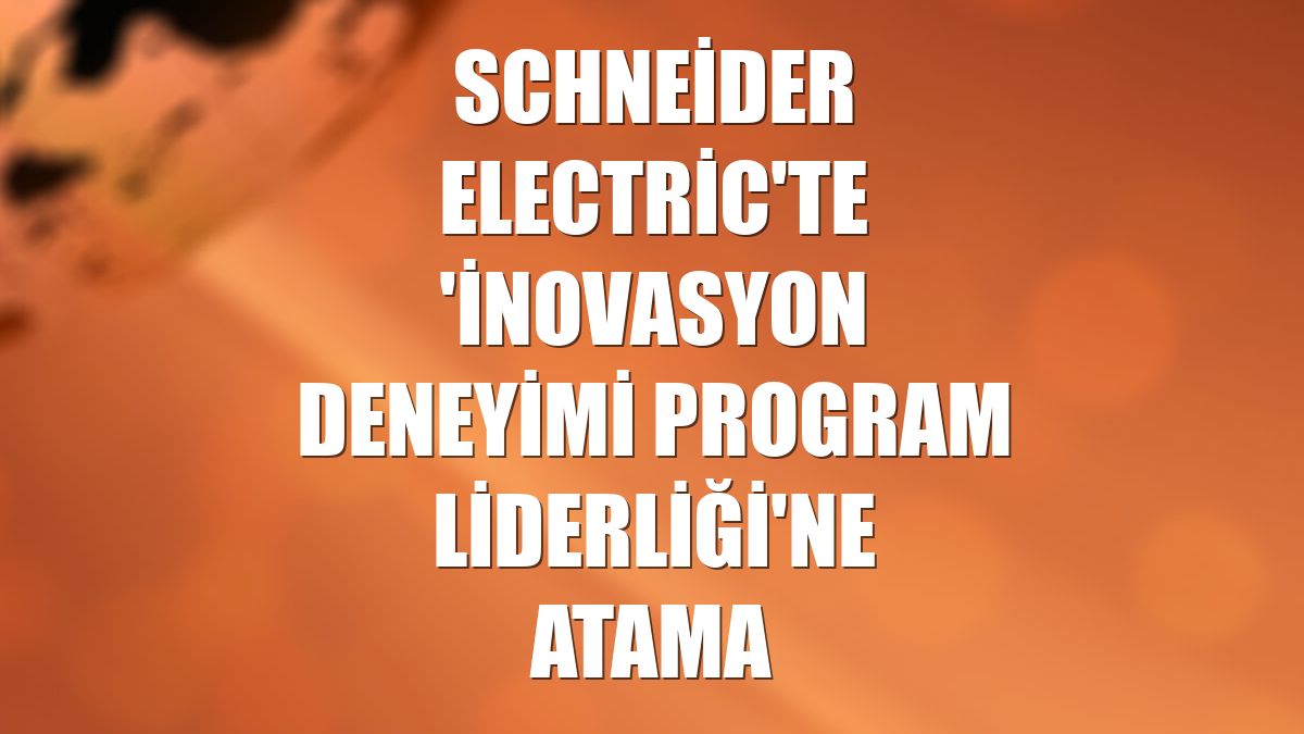 Schneider Electric'te 'inovasyon deneyimi program liderliği'ne atama