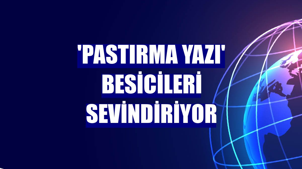 'Pastırma yazı' besicileri sevindiriyor