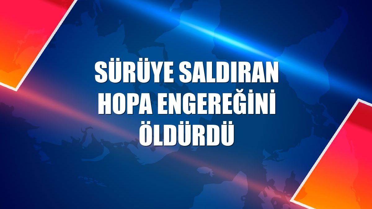 Sürüye saldıran Hopa engereğini öldürdü