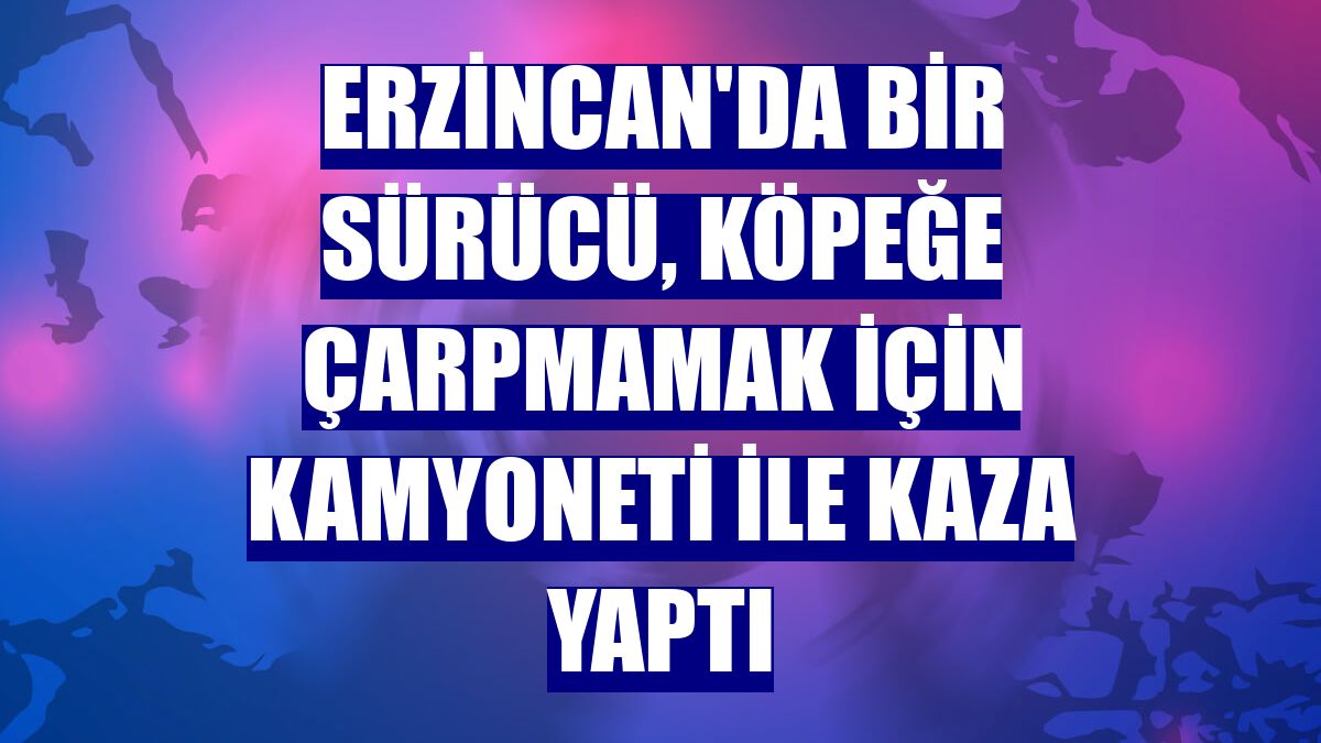 Erzincan'da bir sürücü, köpeğe çarpmamak için kamyoneti ile kaza yaptı