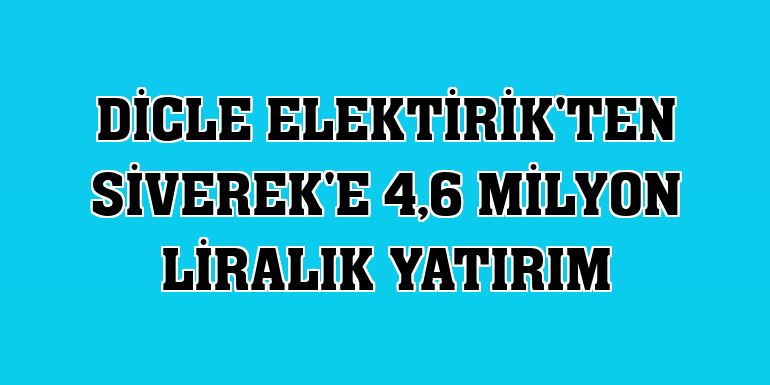 Dicle Elektirik'ten Siverek'e 4,6 milyon liralık yatırım