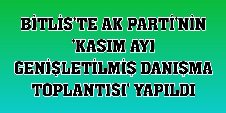 Bitlis'te AK Parti'nin 'Kasım Ayı Genişletilmiş Danışma Toplantısı' yapıldı