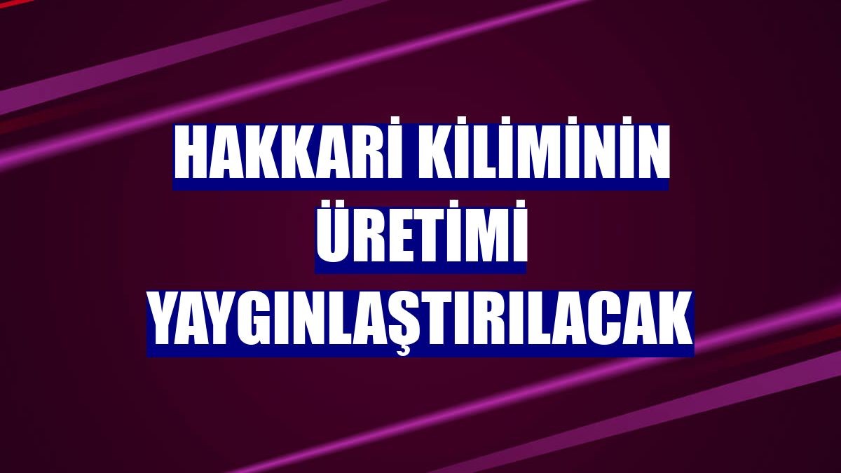 Hakkari kiliminin üretimi yaygınlaştırılacak