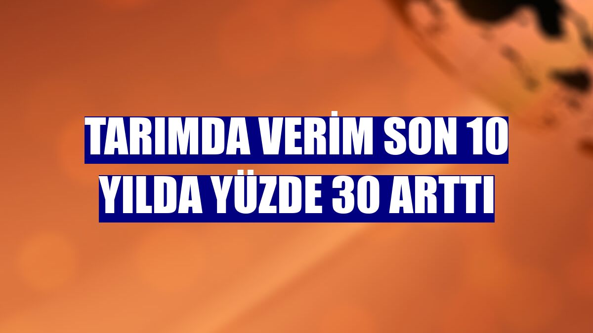 Tarımda verim son 10 yılda yüzde 30 arttı