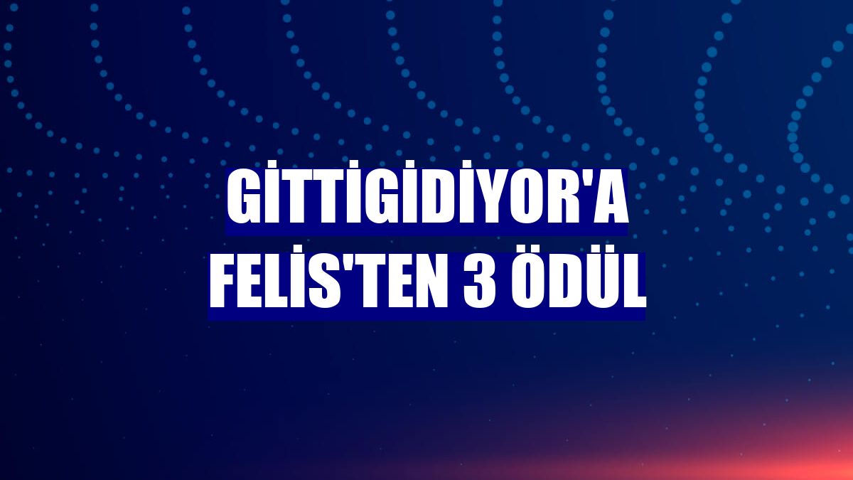 GittiGidiyor'a Felis'ten 3 ödül