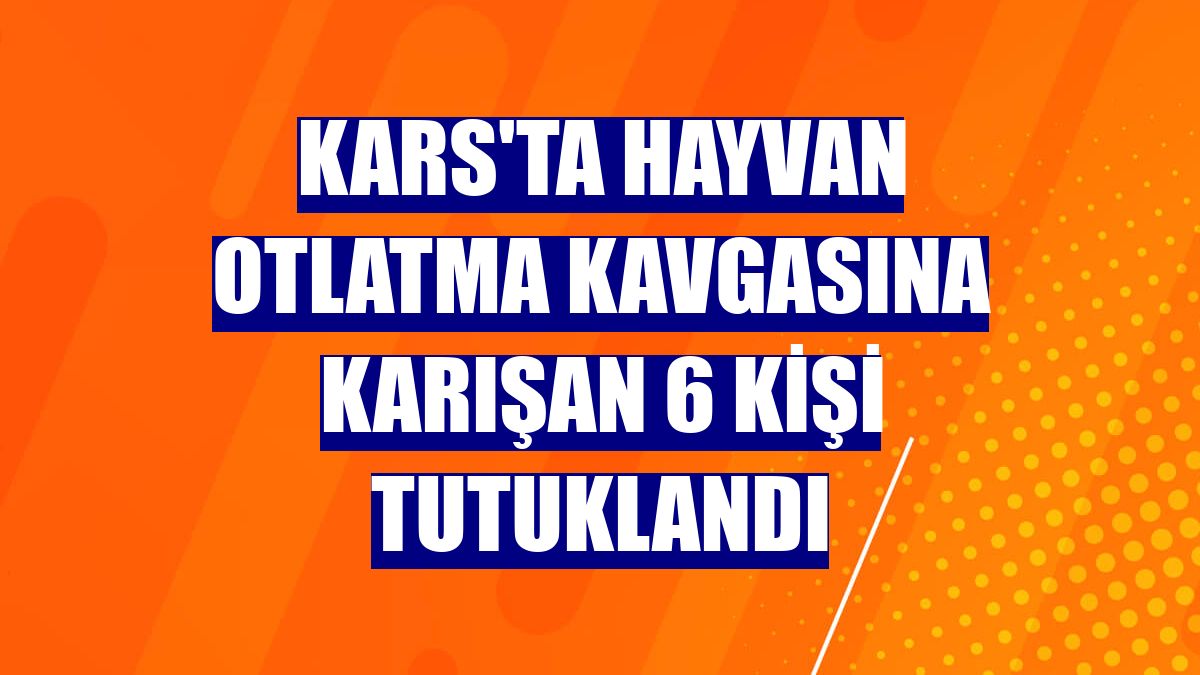 Kars'ta hayvan otlatma kavgasına karışan 6 kişi tutuklandı