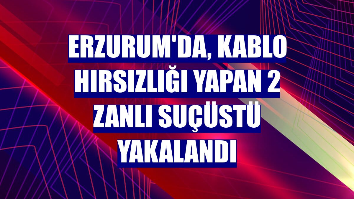 Erzurum'da, kablo hırsızlığı yapan 2 zanlı suçüstü yakalandı