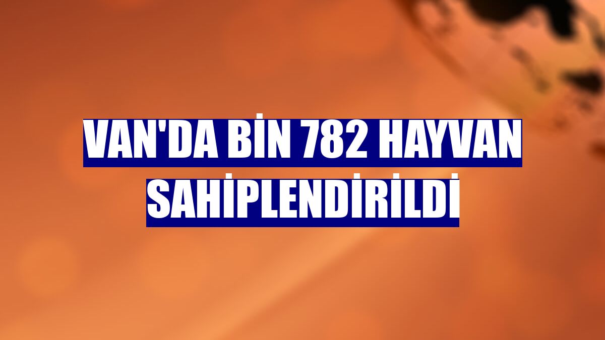 Van'da bin 782 hayvan sahiplendirildi