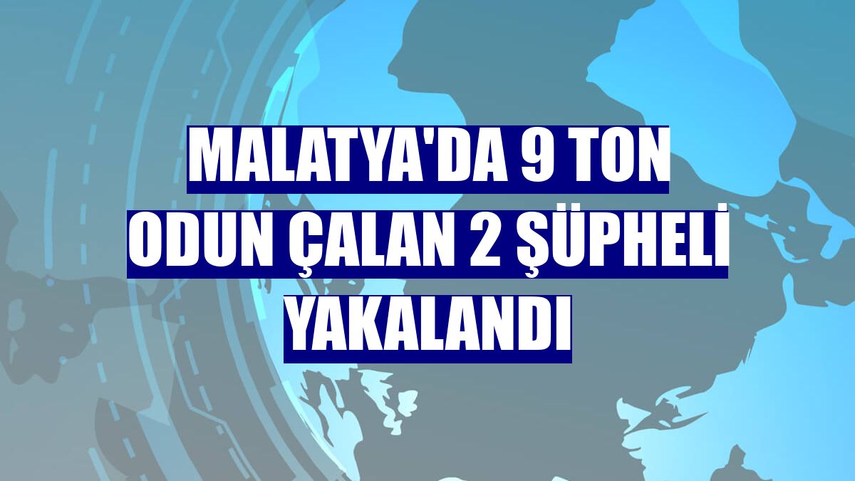Malatya'da 9 ton odun çalan 2 şüpheli yakalandı