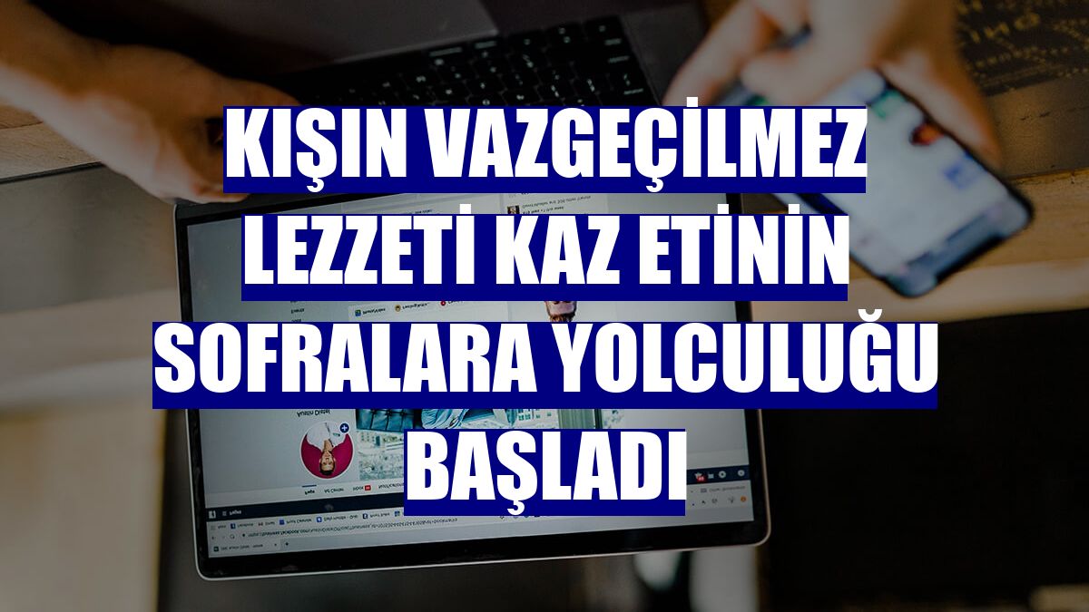 Kışın vazgeçilmez lezzeti kaz etinin sofralara yolculuğu başladı