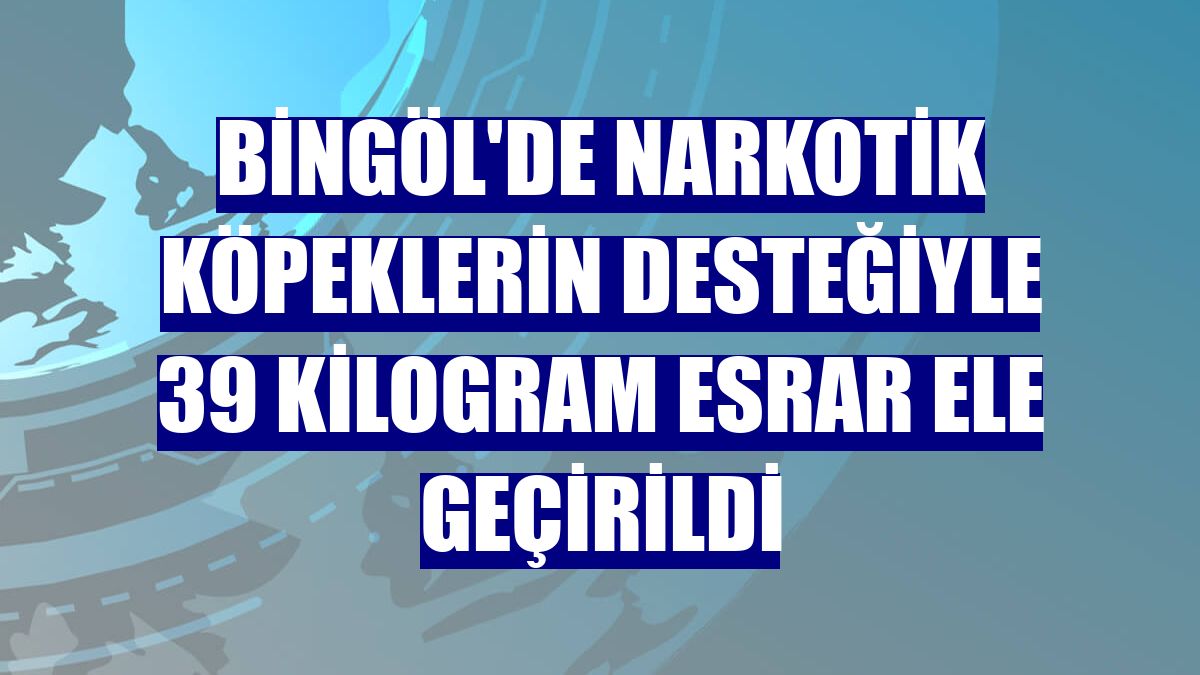 Bingöl'de narkotik köpeklerin desteğiyle 39 kilogram esrar ele geçirildi