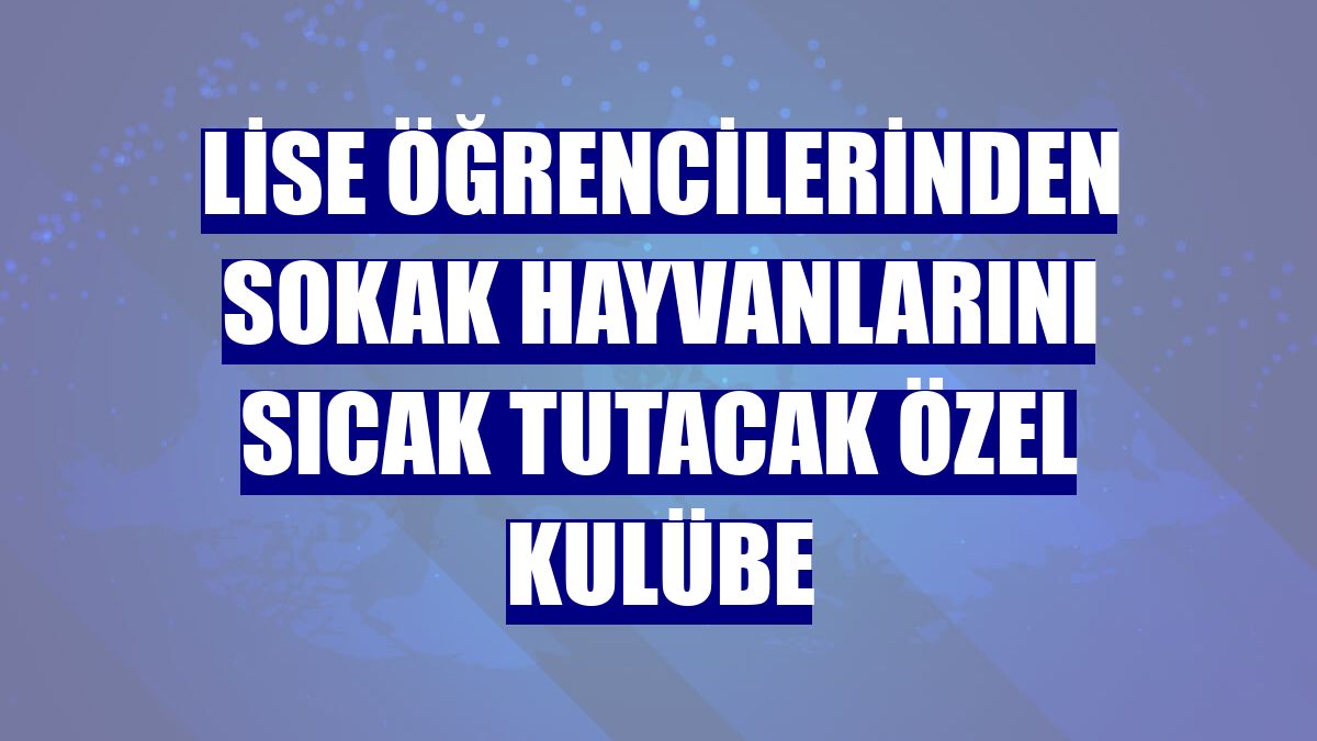 Lise öğrencilerinden sokak hayvanlarını sıcak tutacak özel kulübe