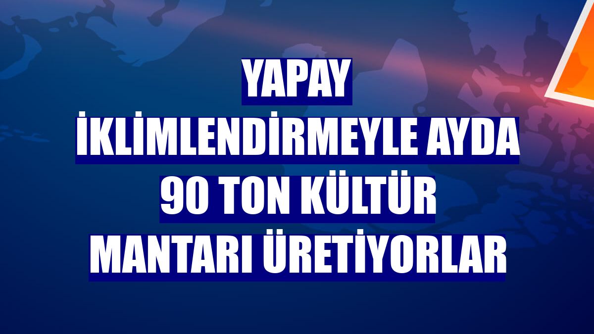 Yapay iklimlendirmeyle ayda 90 ton kültür mantarı üretiyorlar