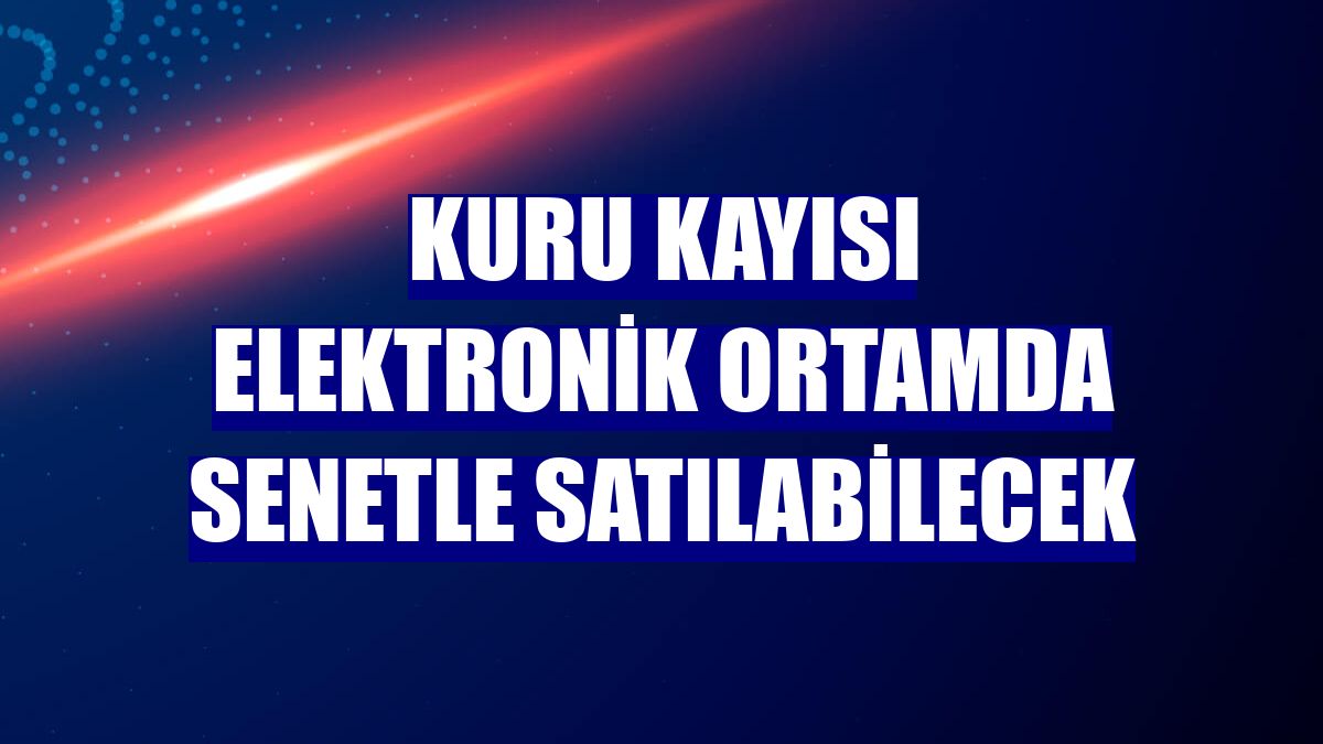 Kuru kayısı elektronik ortamda senetle satılabilecek