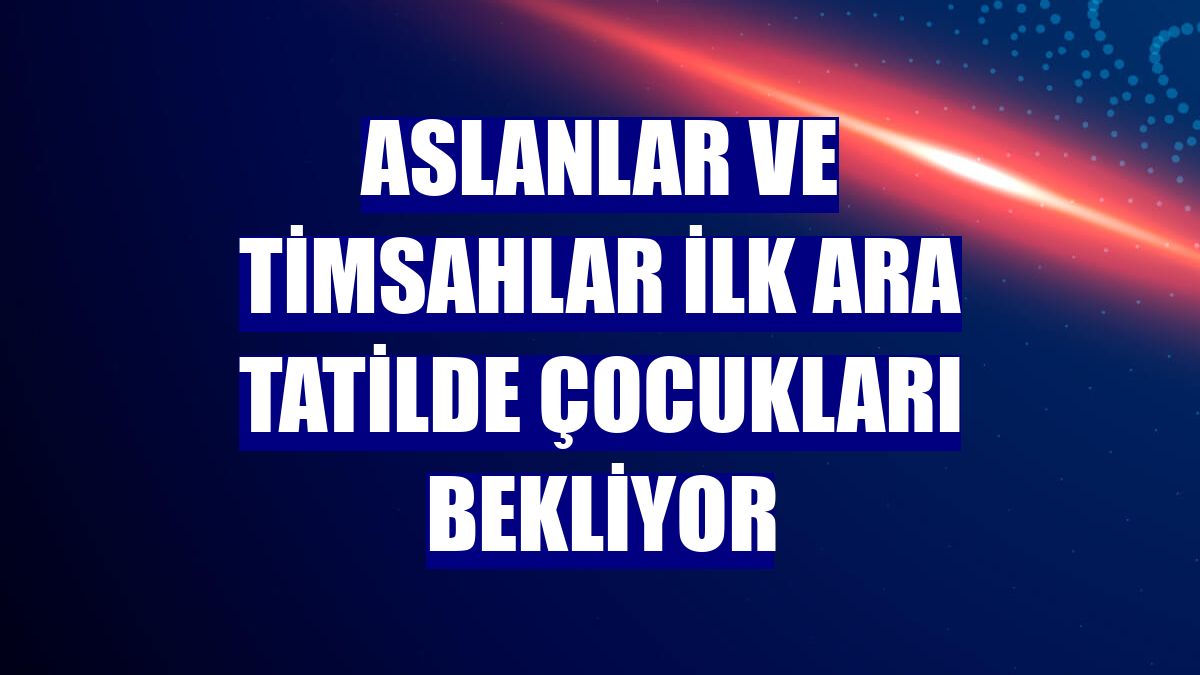 Aslanlar ve timsahlar ilk ara tatilde çocukları bekliyor