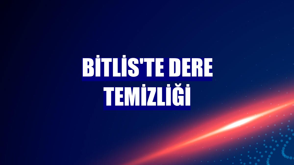 Bitlis'te dere temizliği