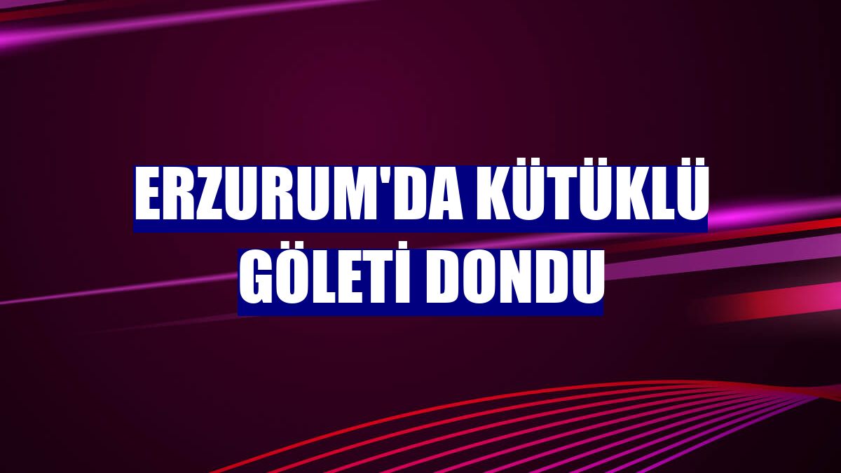 Erzurum'da Kütüklü Göleti dondu