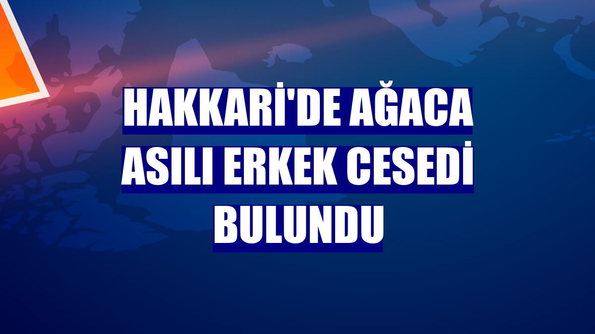 Hakkari'de ağaca asılı erkek cesedi bulundu
