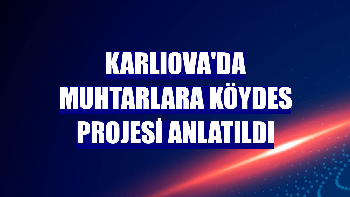 Karlıova'da muhtarlara KÖYDES Projesi anlatıldı