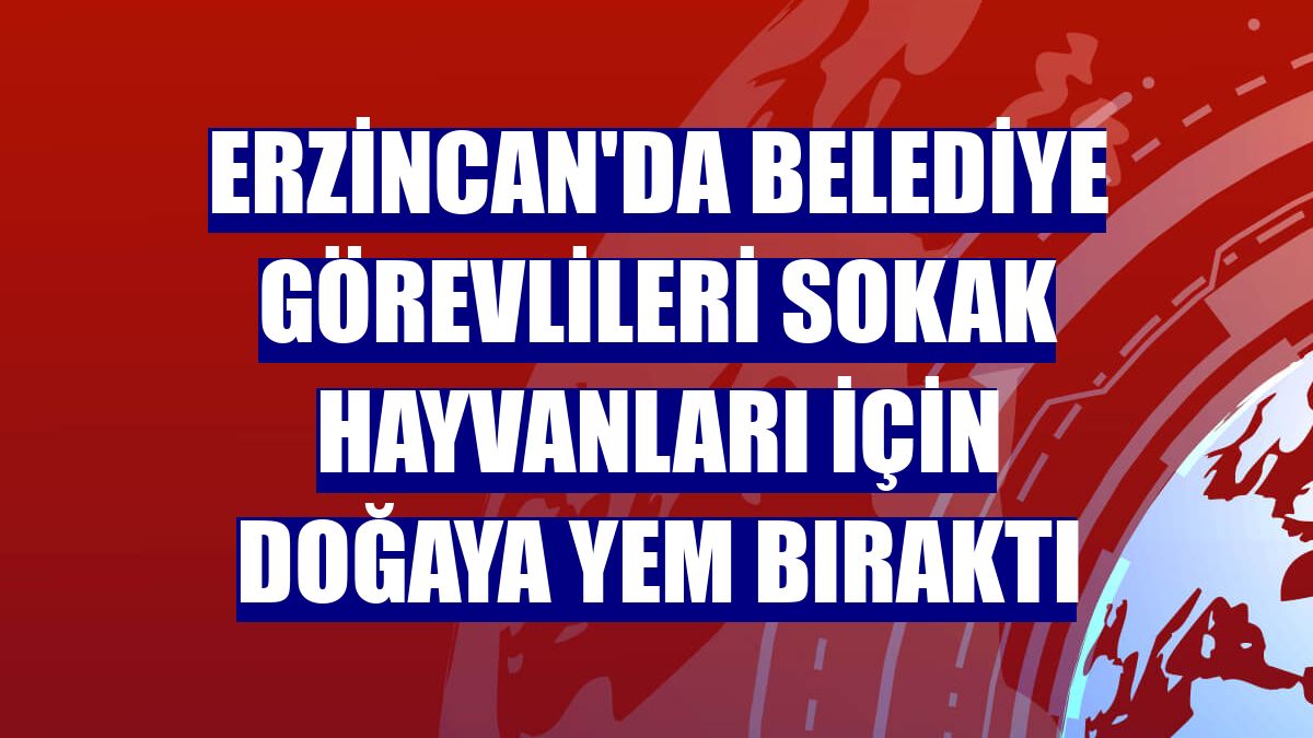 Erzincan'da belediye görevlileri sokak hayvanları için doğaya yem bıraktı