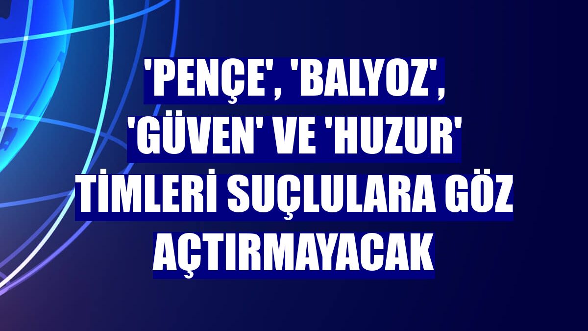 'Pençe', 'Balyoz', 'Güven' ve 'Huzur' timleri suçlulara göz açtırmayacak