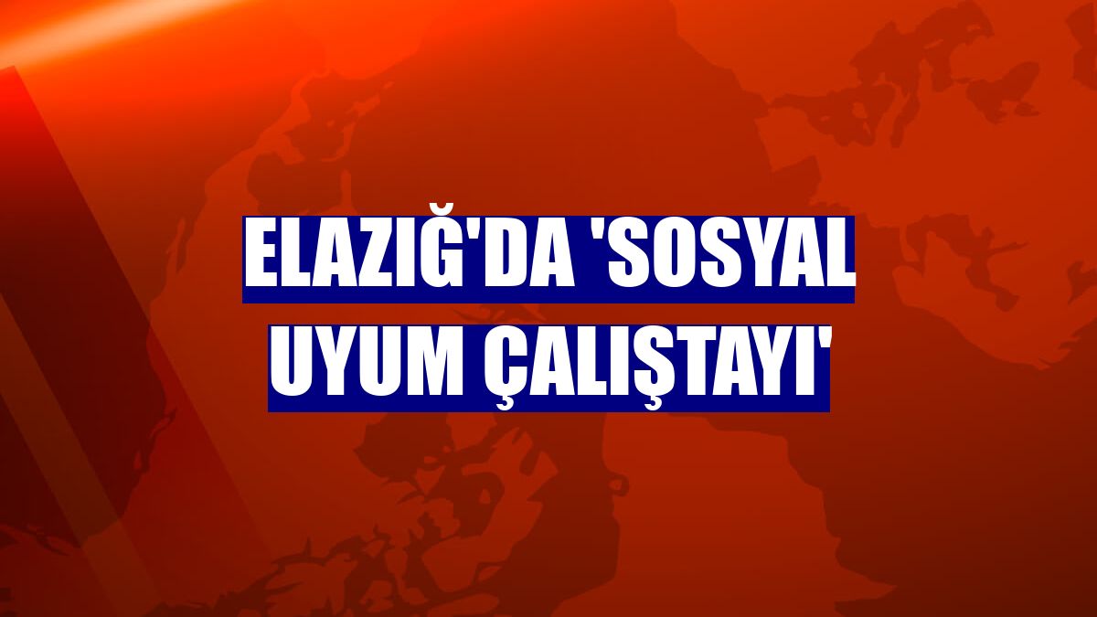 Elazığ'da 'Sosyal Uyum Çalıştayı'