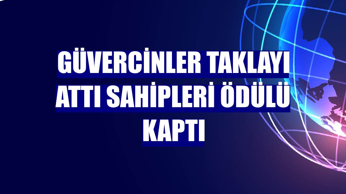 Güvercinler taklayı attı sahipleri ödülü kaptı