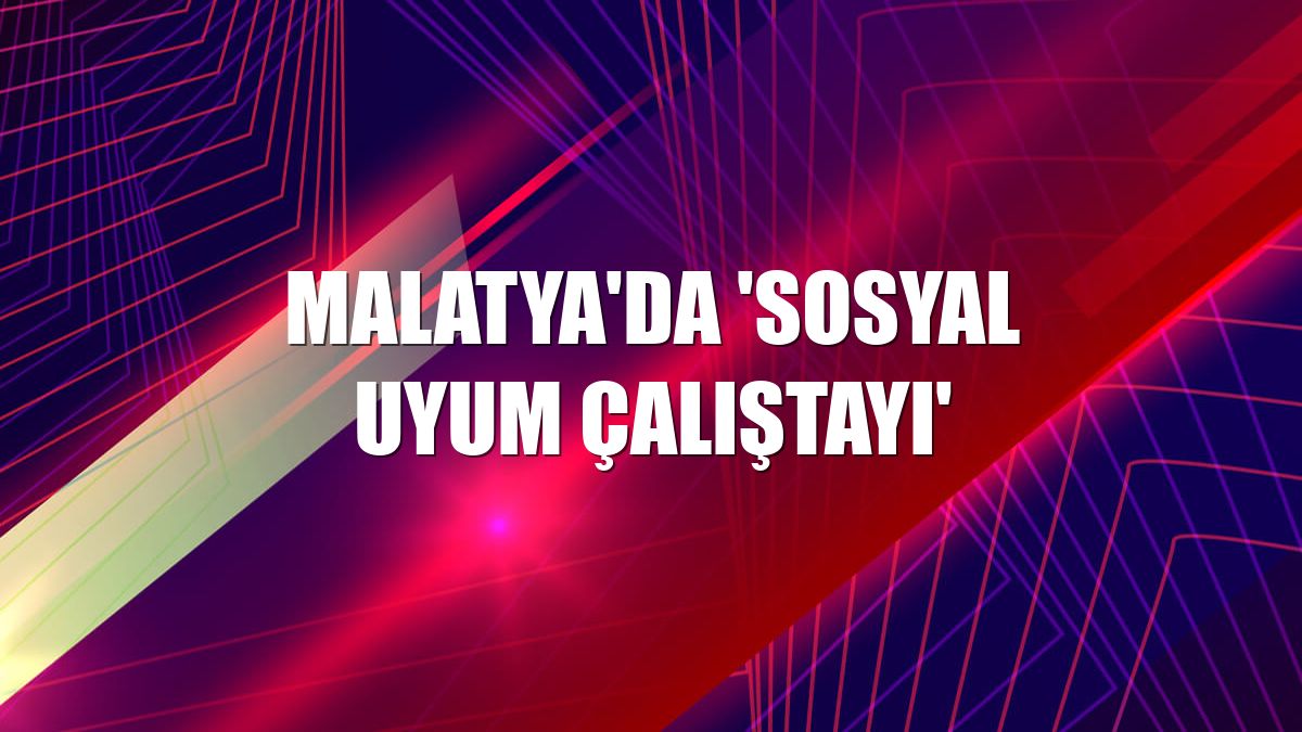 Malatya'da 'Sosyal Uyum Çalıştayı'
