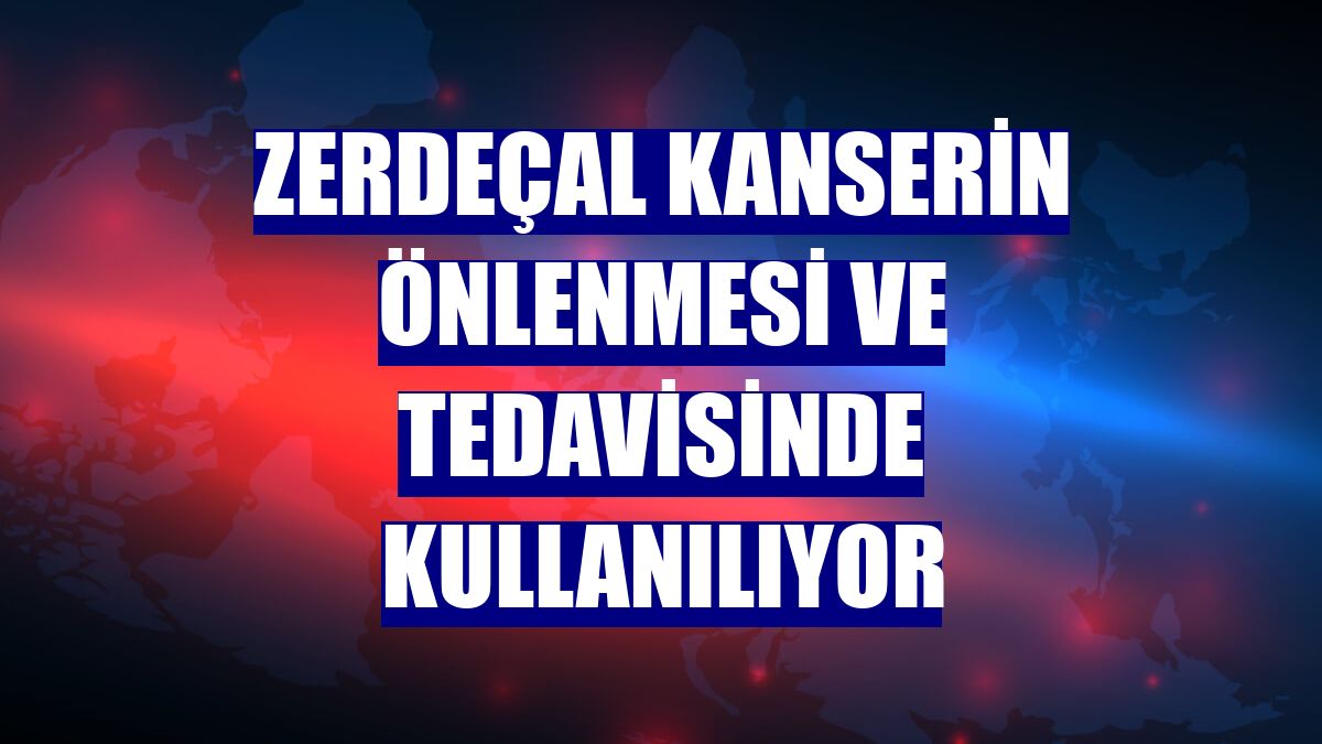Zerdeçal kanserin önlenmesi ve tedavisinde kullanılıyor