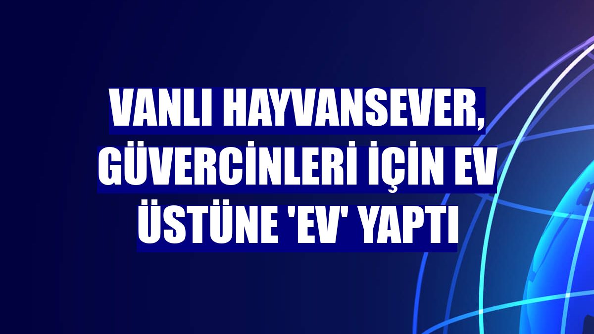 Vanlı hayvansever, güvercinleri için ev üstüne 'ev' yaptı