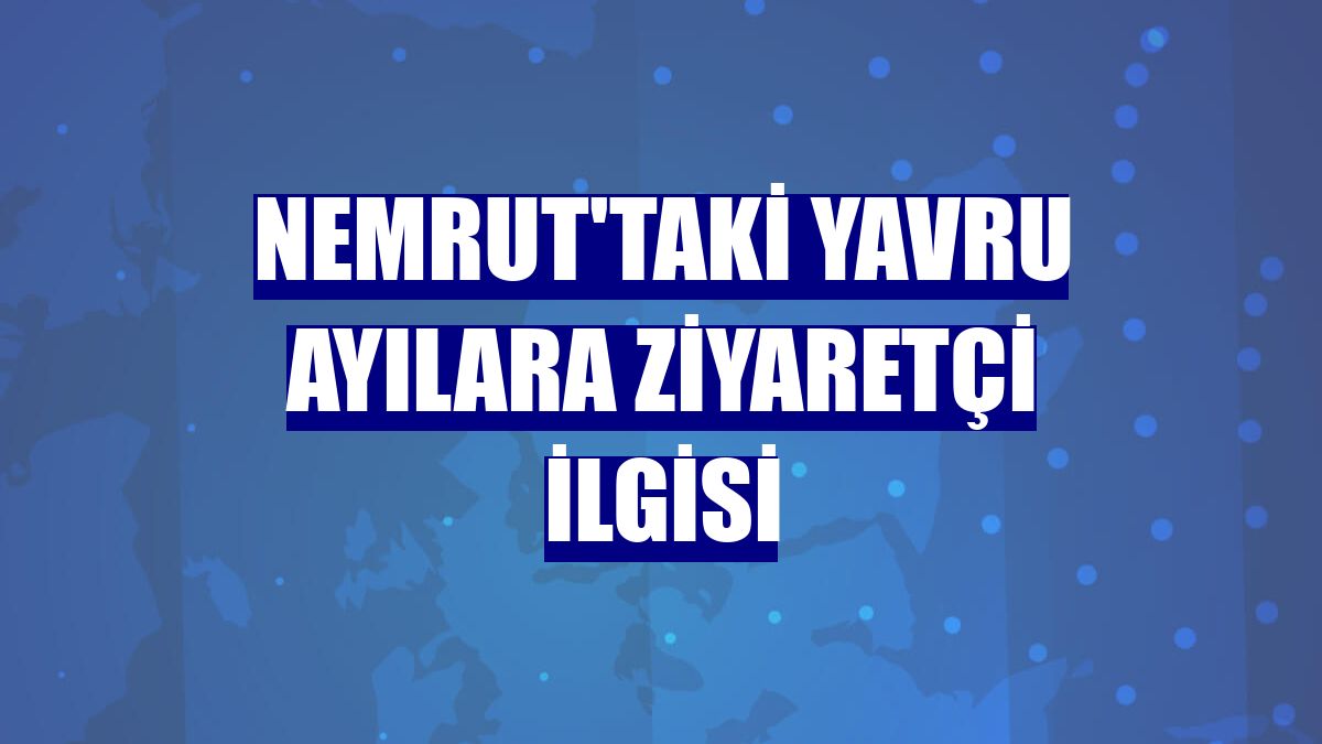 Nemrut'taki yavru ayılara ziyaretçi ilgisi