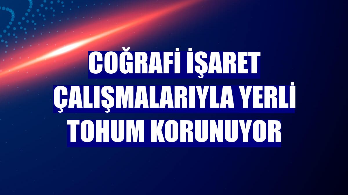 Coğrafi işaret çalışmalarıyla yerli tohum korunuyor